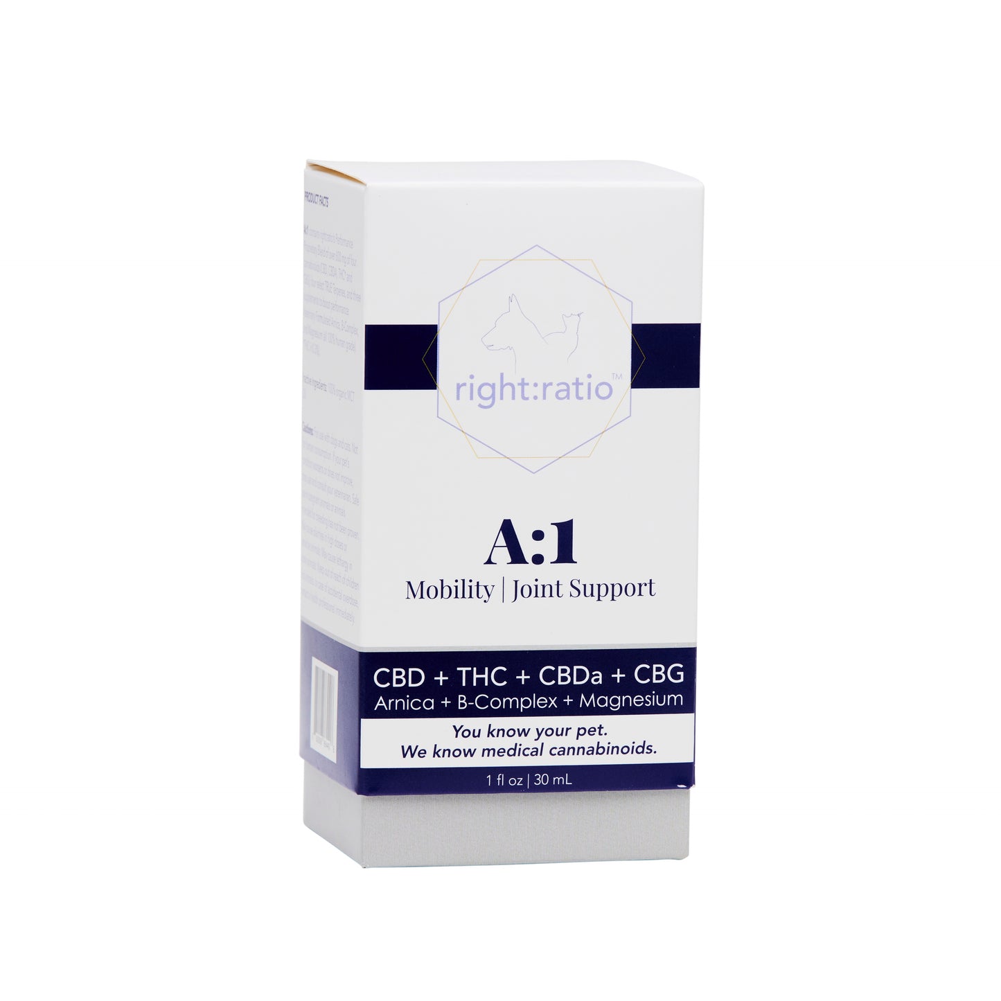 A:1 | Mobility + Joint Support