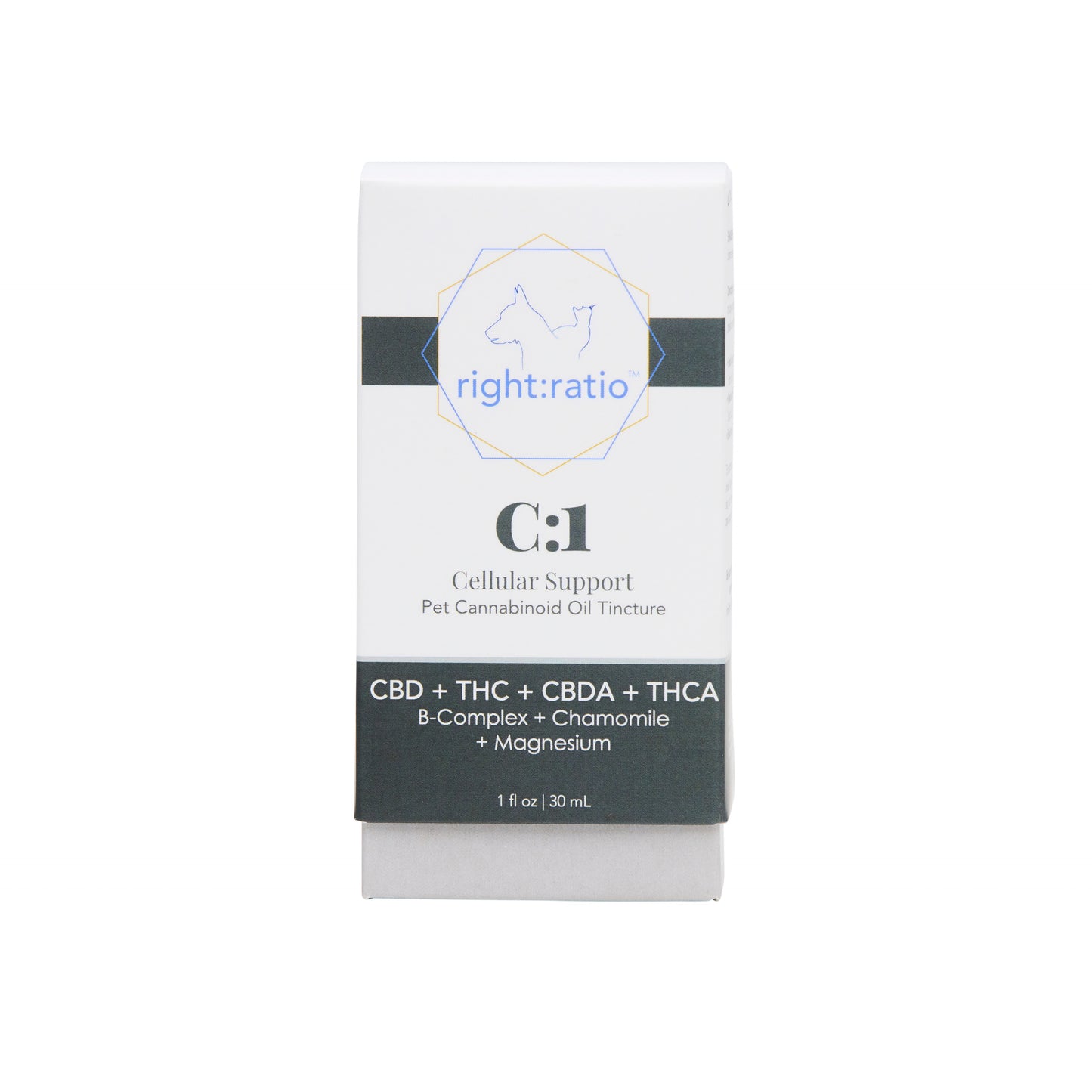 C:1 | Cellular Support