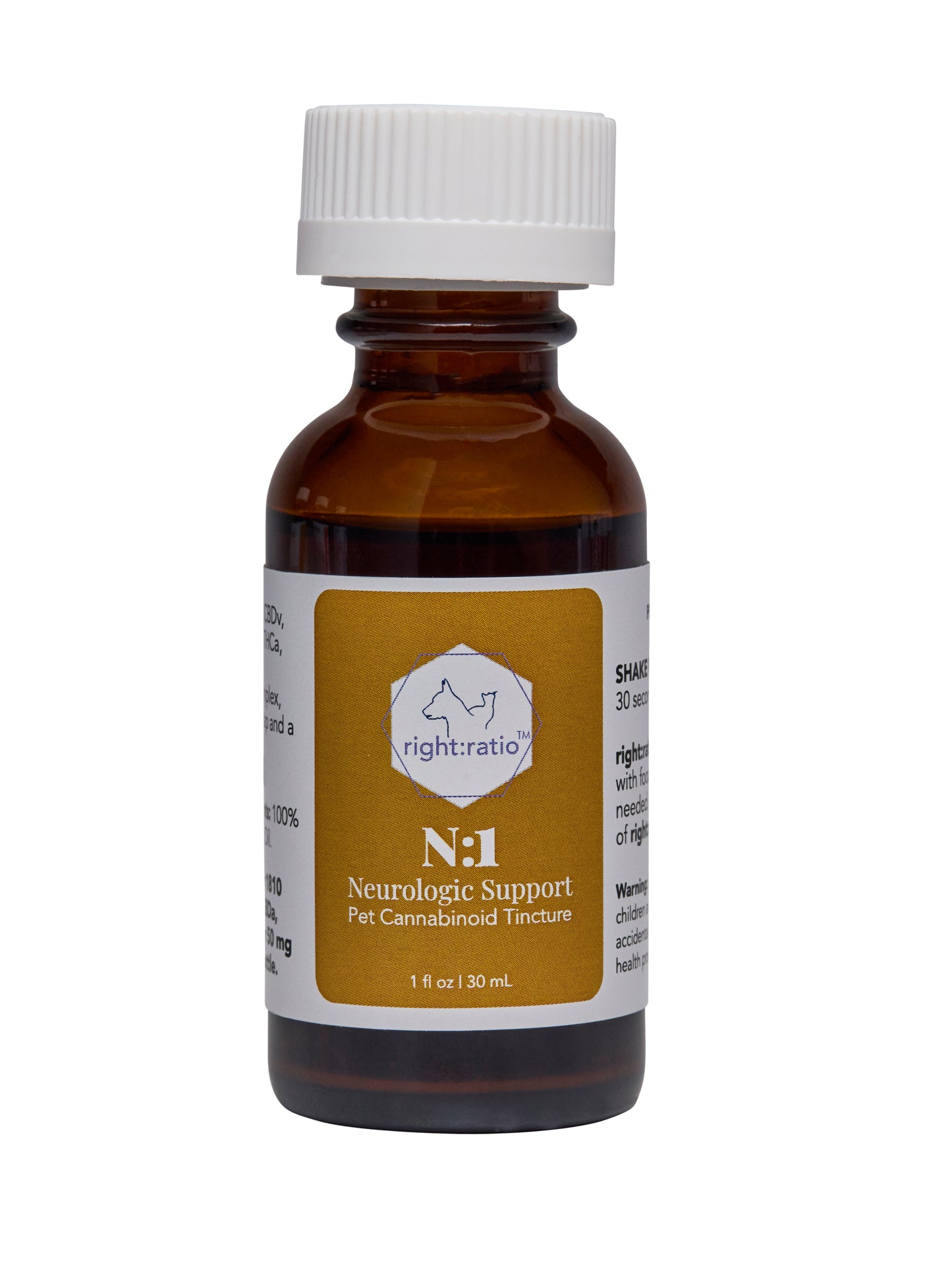 N:1 | Neurologic Support