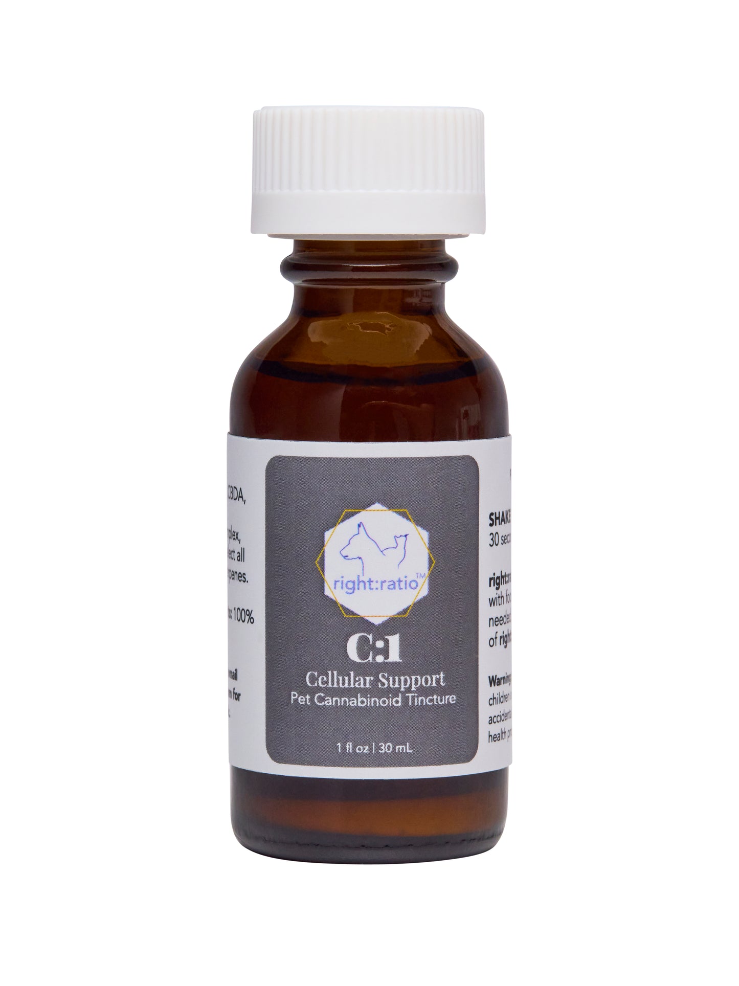 C:1 | Cellular Support