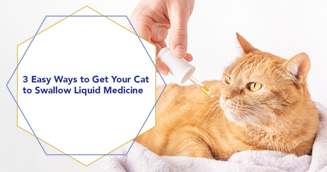 3 Easy Ways to Get Your Cat to Swallow Liquid Medicine