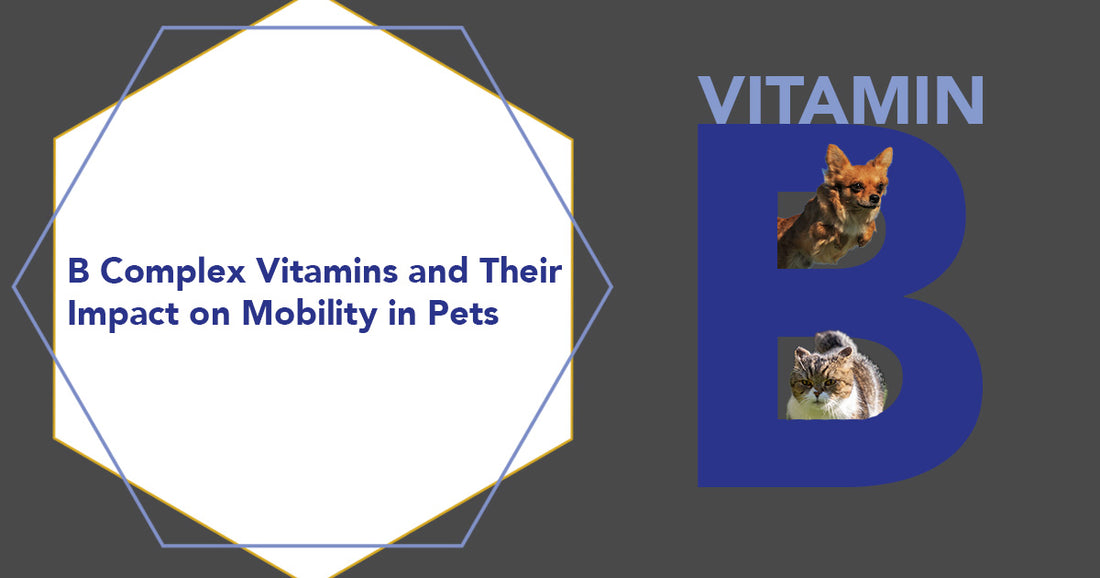 B Complex Vitamins and Their Impact on Mobility in Pets