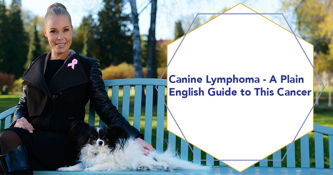 Canine Lymphoma A Plain English Guide to This Cancer