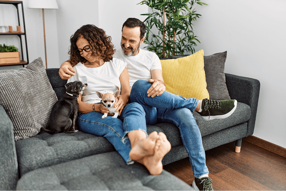 Cannabinoid Therapy for Your Pet