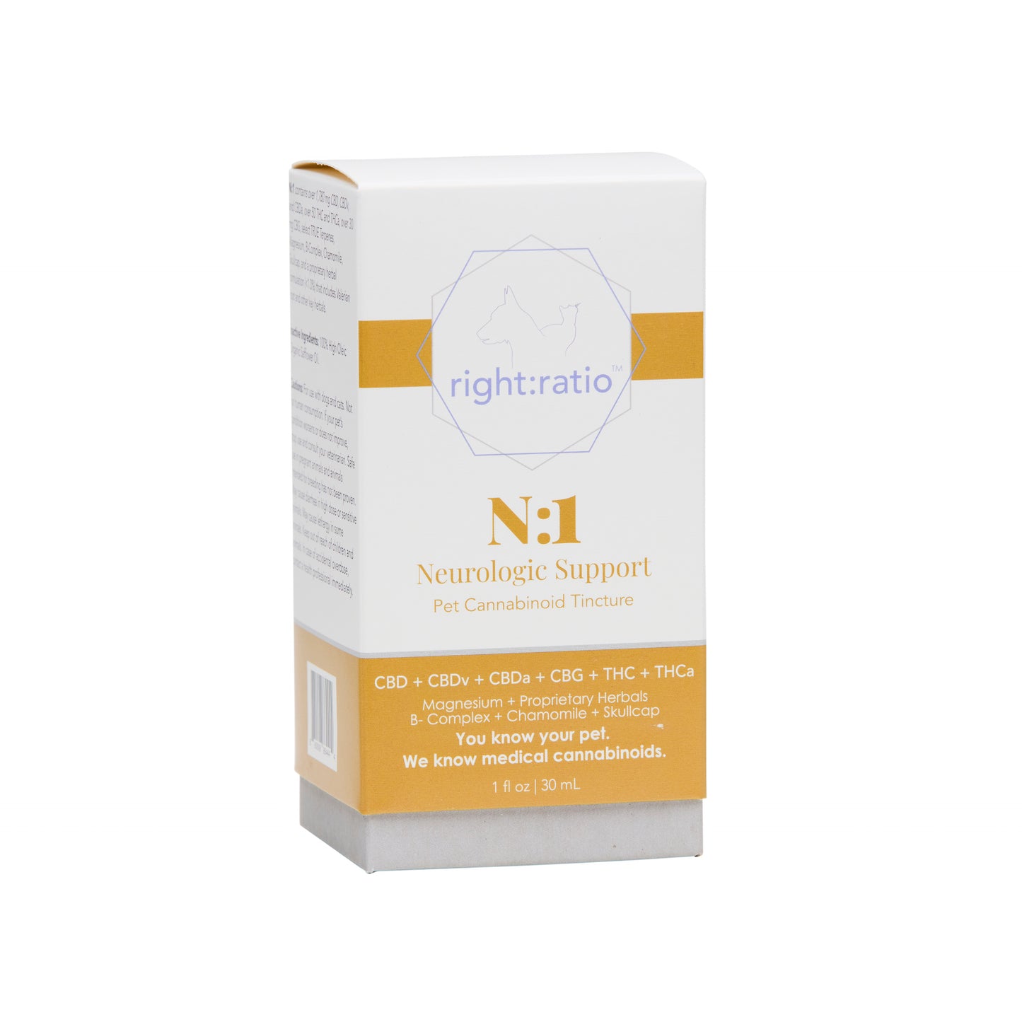 N:1 | Neurologic Support