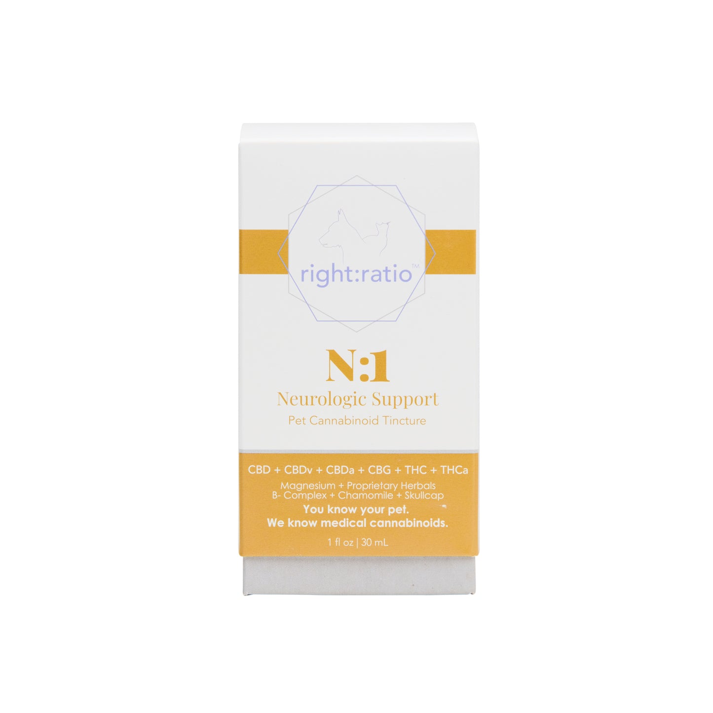 N:1 | Neurologic Support